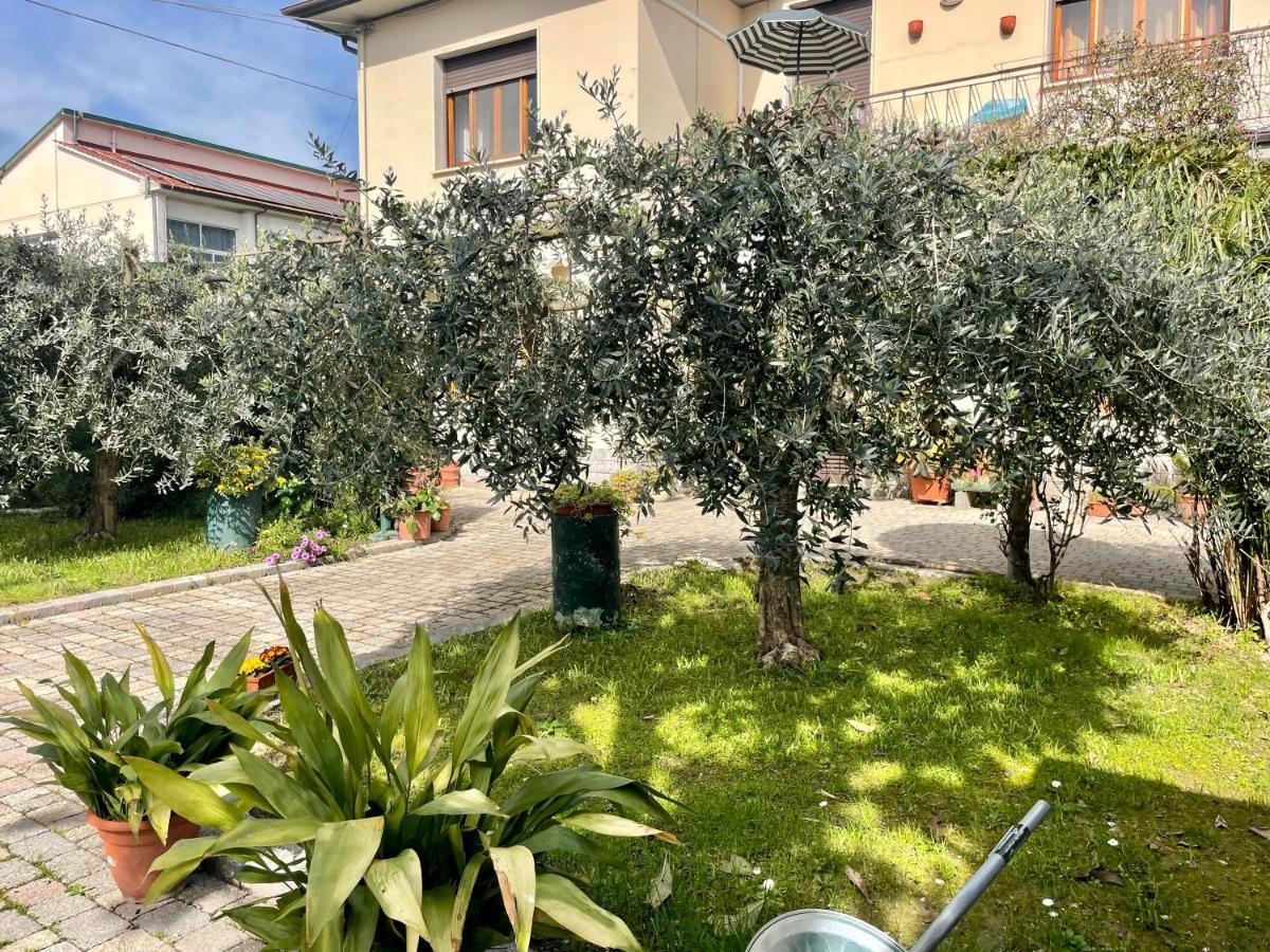 Apartament Casa La Palma Vecchiano Zewnętrze zdjęcie
